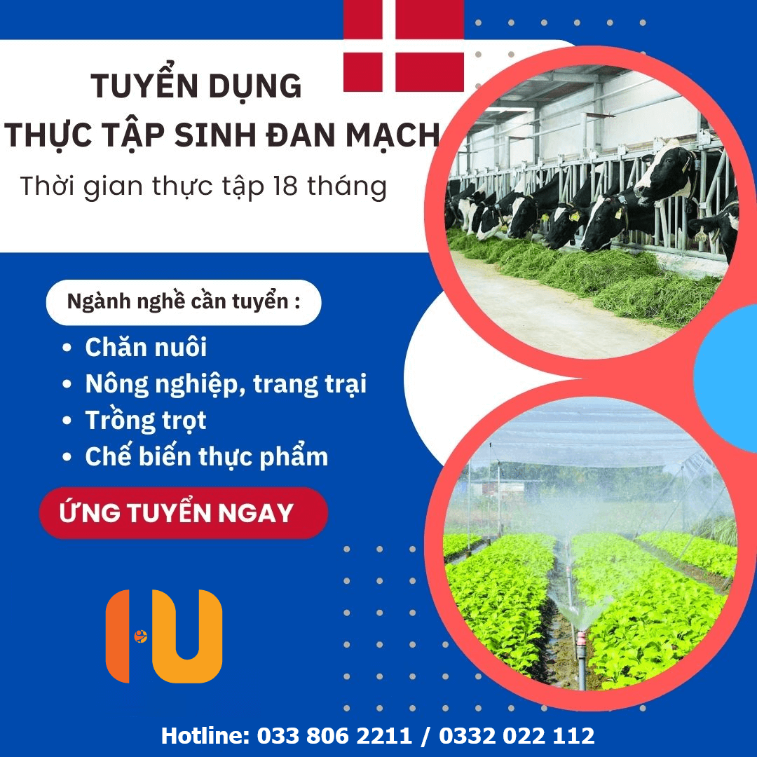 Tuyển dụng thực tập sinh Đan Mạch