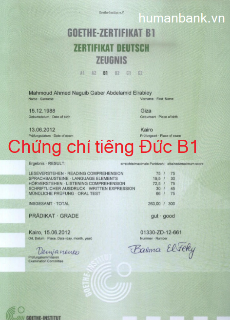 Chứng chỉ tiếng đức b1