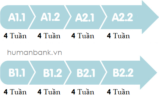 lộ trình học tiếng Đức từ A1 đến B2