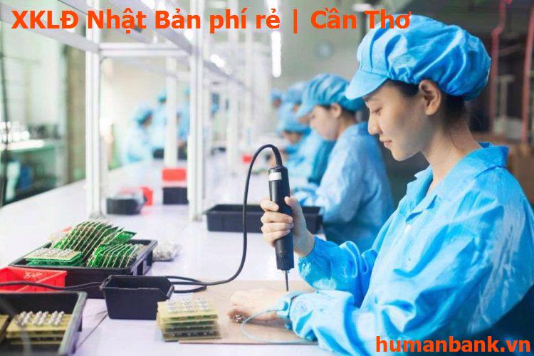 Khám Phá Tiềm Năng - Cơ Hội Vàng Từ XKLĐ Nhật Bản Cho Người Việt